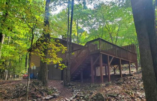 Harmony in the Woods - Foto 13