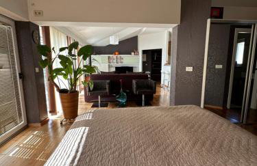 Apartman Queen of Opatija - Photo 68