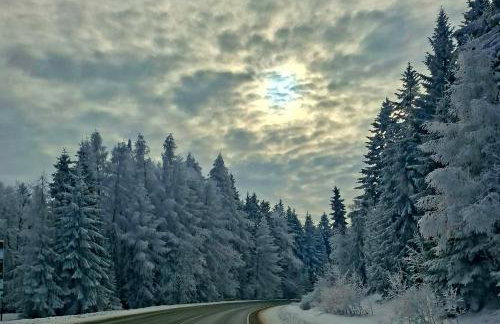 Krynica Zdrój - Dom nad wodą - Foto 8