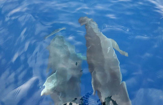 Dia Island Day Trip - Foto 6