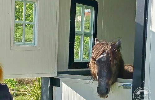 Casa 2 do Pavilhão da Prelada - Foto 45