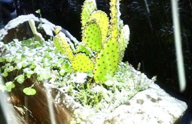 Casetta sull’Etna - Foto 51