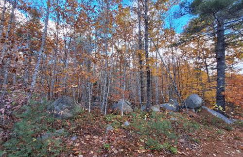 Unplug nd Reconnect in Peceful Off-Grid Cbin for Relxtion nd Nture Immersion in Beddington, Mine - Foto 15