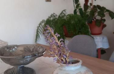 Casa da Póvoa - Foto 61