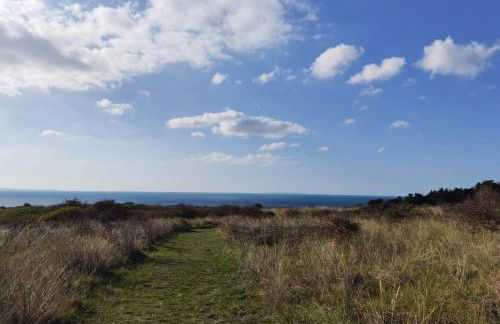 Les Sternes - Foto 43