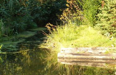 Ferienhaus auf der Kauperinsel - Foto 27