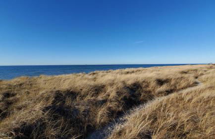 Fewo-am-Sonnenstrand - Foto 28