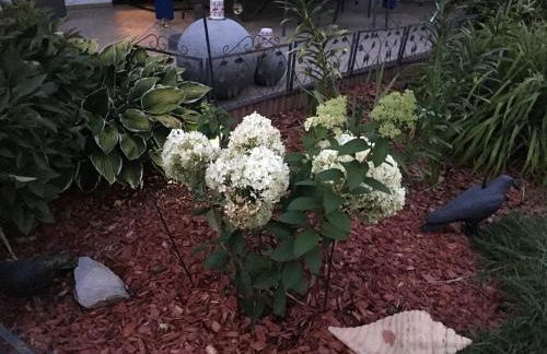 Ferienwohnung Evelyn und Reinhard Himmler - Foto 45