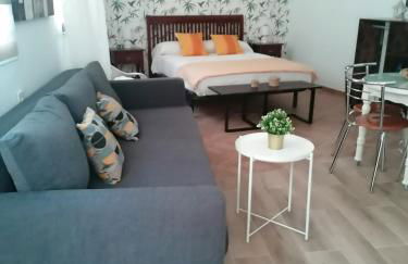 APARTAMENTO ABADIA - Photo 1