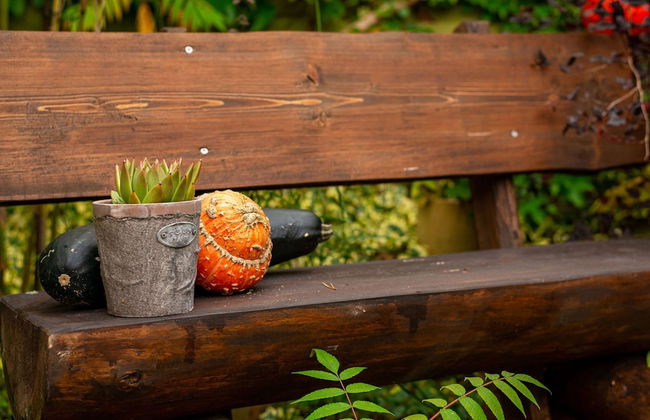 Pleasant Apartment in Bad Doberan near Sea - Photo 21