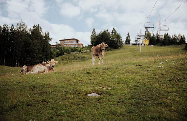 Chalet G12 - Luxury Apartments Seefeld - Foto 63