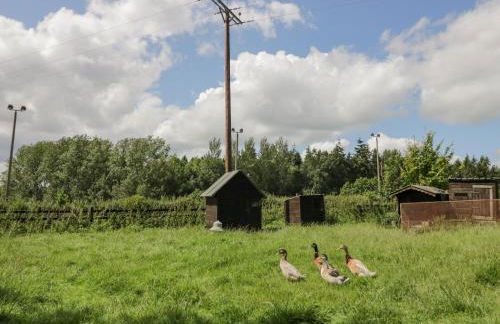 Betty's Barn - Foto 21