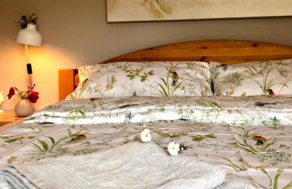 Ferienwohnung Elbsegler - Foto 21