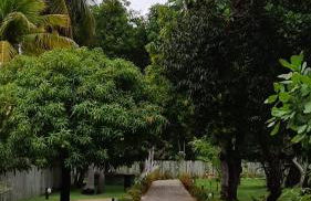 Itacimirim - Quinta das Lagoas Reserva - Photo 34