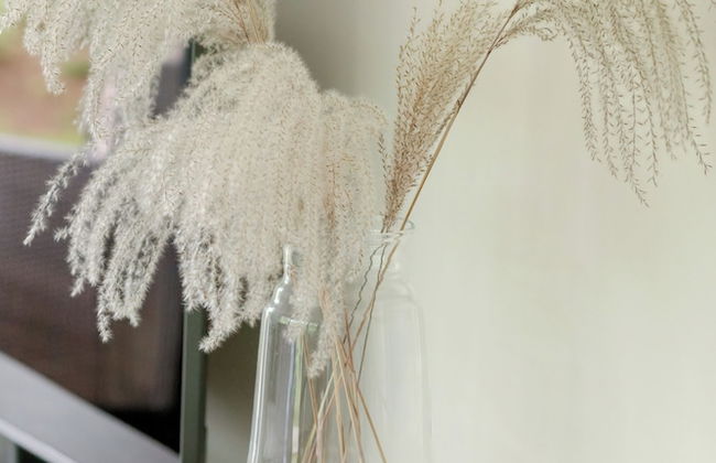 Shellter Apartment by Renters Prestige - Photo 23