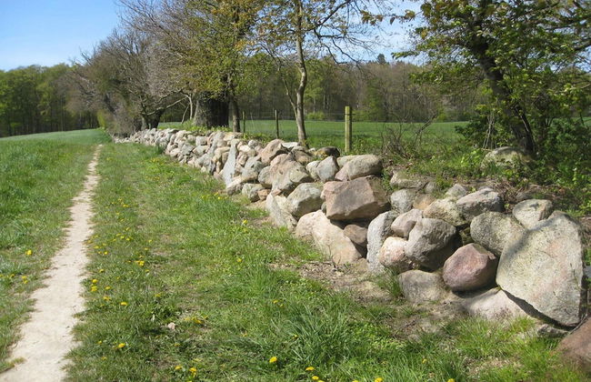 4 Person Holiday Home in Vordingborg-by Traum - Photo 5