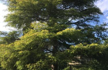 Moulin De Coupigny - Foto 34