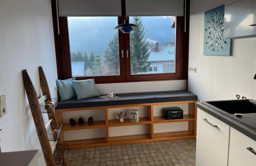 Haus Galerie St Blasien - Foto 13