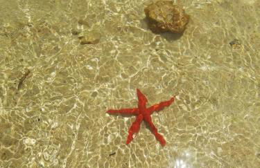 Appartamento Joanna - Foto 47