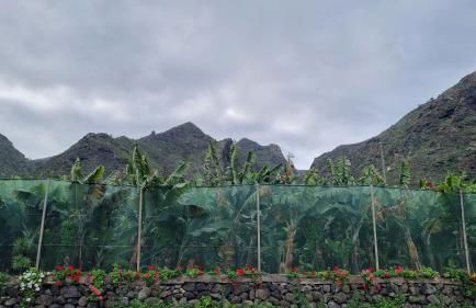 Edif La Luz Apartment No 4 with big private terrace - Foto 5