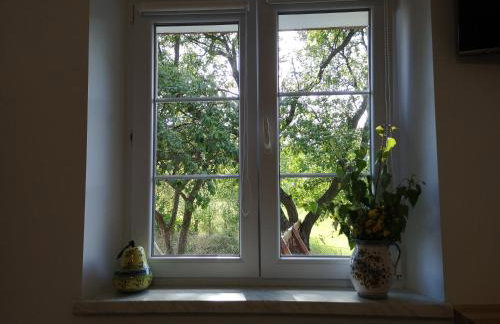 Agroturystyka Cieślarówka - Foto 7