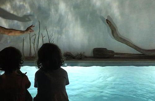 Casadasfurnazinhas - Foto 11