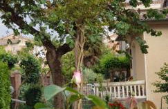 La Casa di Gigliola - Foto 8