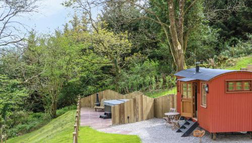 Little Silver Owl - Foto 3