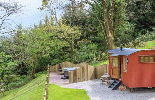 Little Silver Owl - Foto 3