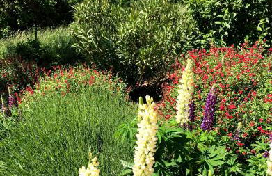 Maison avec vue exceptionnelle et piscine privative - Photo 7