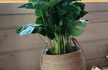 Spacieux Chalet en Bois Massif au coeur du Finistère - Foto 74