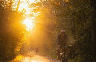 Green View Tornow - Foto 27