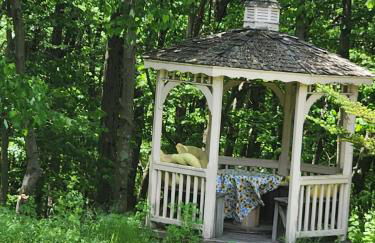 The Kalli-Ru near Golf, Ohiopyle, Fallingwater - Foto 25