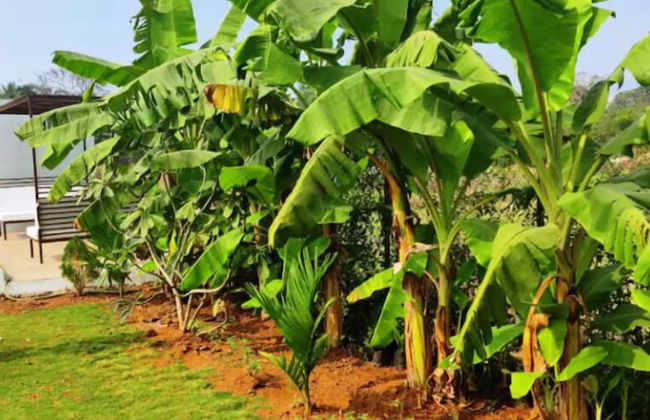 Privy Stays - Bherse Villa - Foto 7