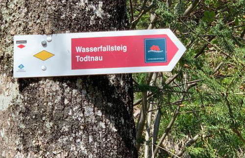 Haus am Sonnenberg,Todtnauberg, Ferienwohnung 105, direkt am Skilift-Skipiste, Nähe Feldberg - Foto 20