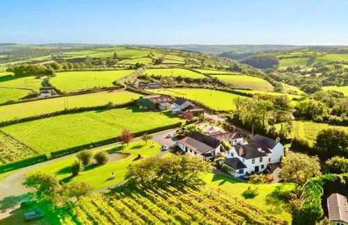 Exclusive Vineyard Estate for 18 Guests - Foto 1