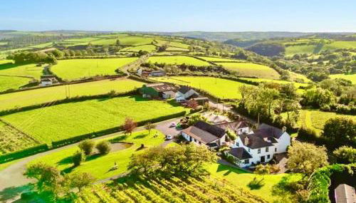 Exclusive Vineyard Estate for 18 Guests - Foto 1