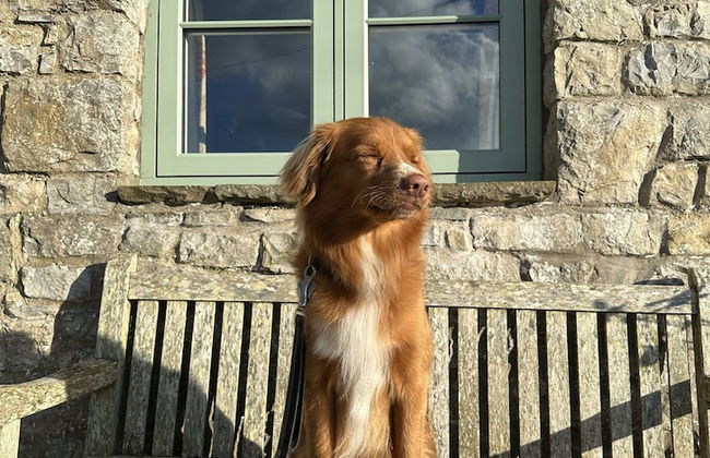 Moorshead Farm - Foto 50