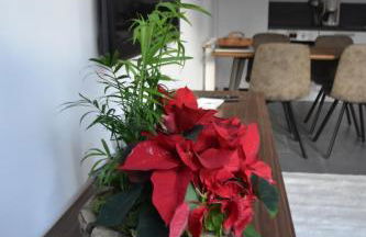 Escale à Saint Wary classé 4 Étoiles - Foto 10