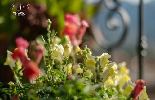 Al Soladif - Mansarda con vista - Foto 45