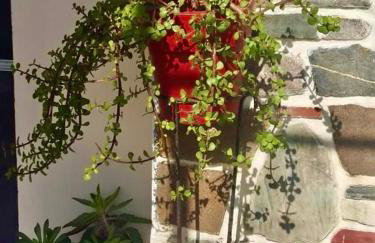 Apartment Nina Holidays - Foto 55