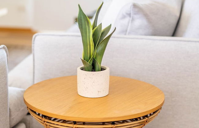 Blue Cottage Bruny Island - Foto 35