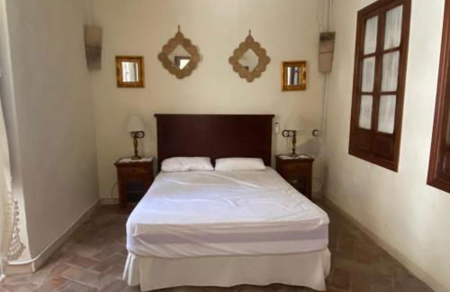 Adarve de los Olivares - Foto 54