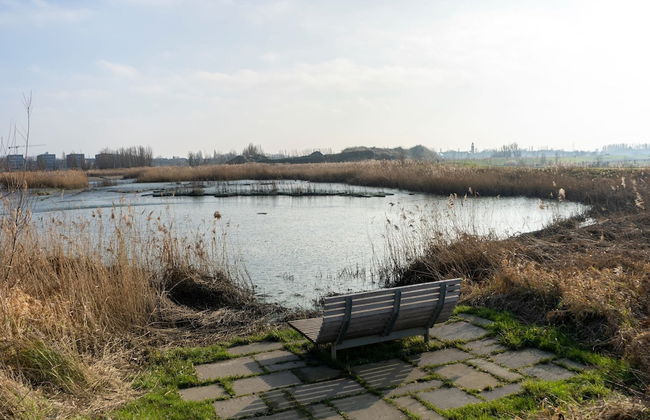 Apartment in Kruibeke Wissekerke Castle - Foto 40