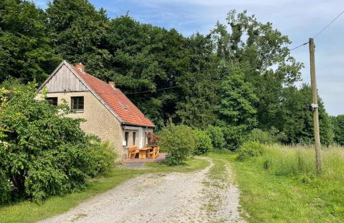 Waldhaus Wiesenblick mit Spielzimmer und Tischtennisraum - Foto 31