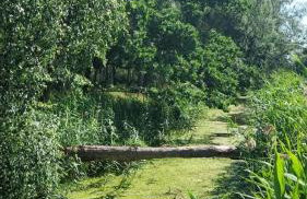 Wygodny eko domek koło nadmorskiego Parku Krajobrazowego - Foto 48