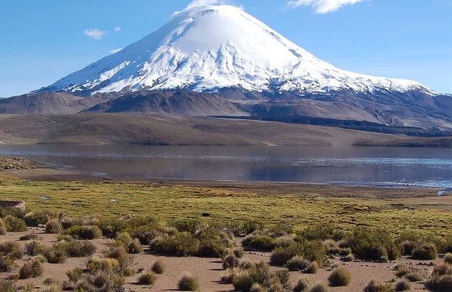 Lauca National Park Day Trip - Photo 7