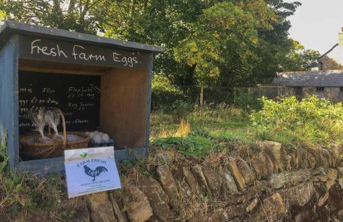 Fistral Cottage - Cwc46839 - Foto 15