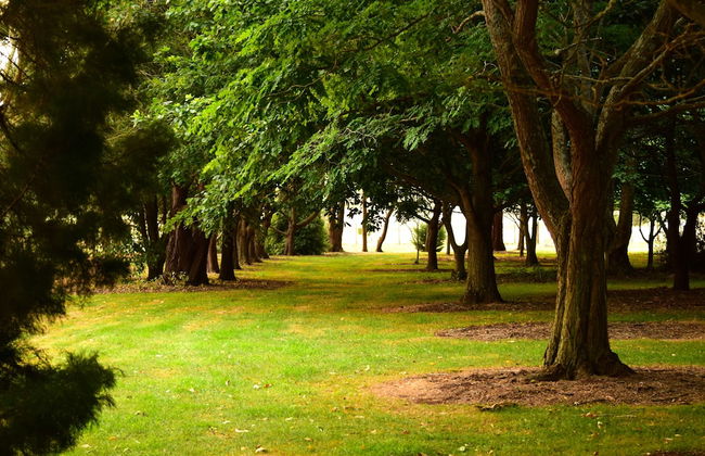 Boat Harbour Garden Cottages - Foto 29