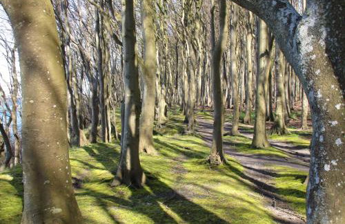 FeWo-Solveig - Foto 14